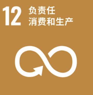 SDG 12