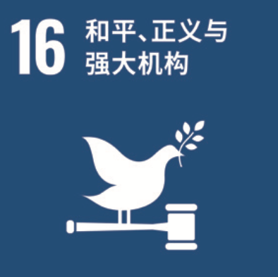 SDG 16