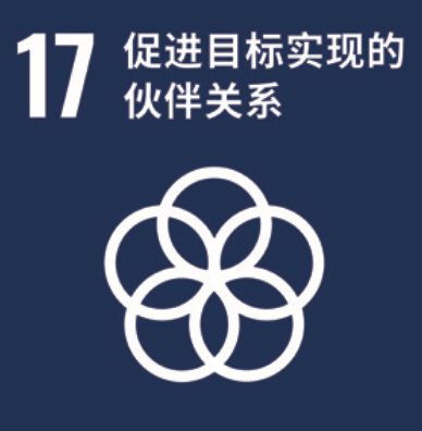 SDG 17
