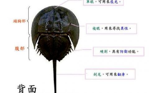 赵力涛的“发现之旅®”品牌故事