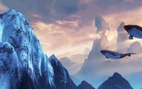 天机榜|世界十大神鸟排行榜