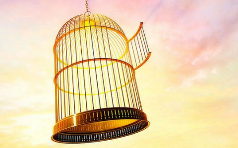 天机榜|十大心理效应排行榜