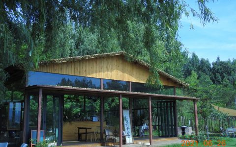 来大理，一定别错过这家绝美的森林食堂