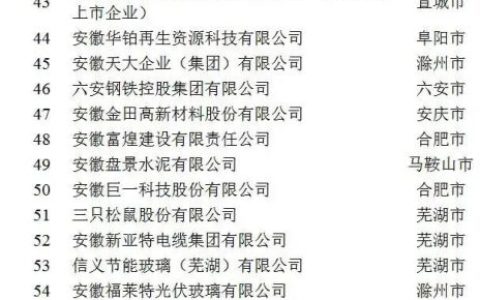 2021安徽民营企业百强排行榜