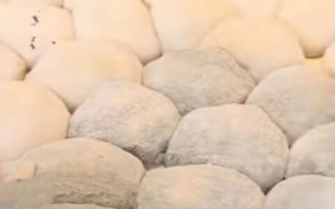 天机测评｜广西特色小吃之水磨糍