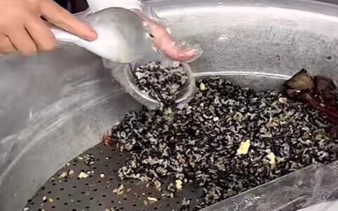 天机测评｜广西特色小吃之龙胜糯米饭