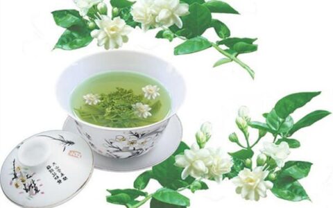 最好的茉莉花茶叫什么